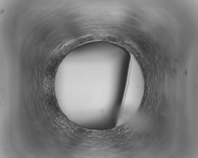 X0000087390773200704200927