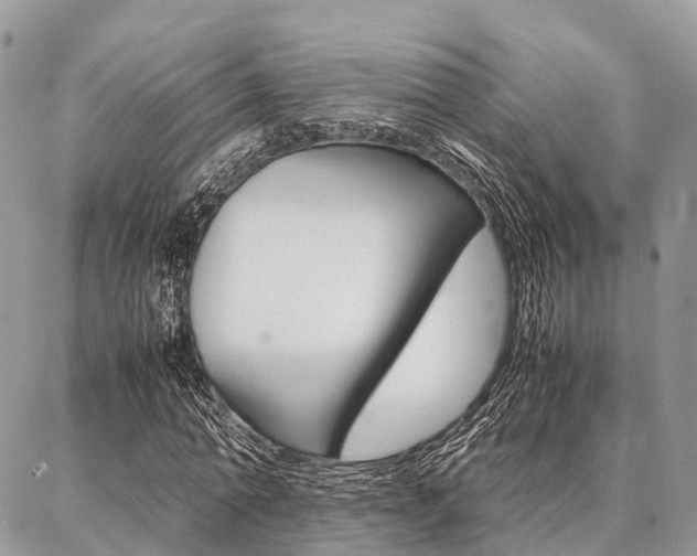 X0000087390774200704200927