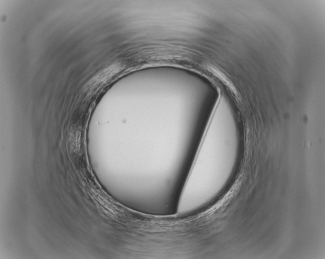 X0000087390777200704200927