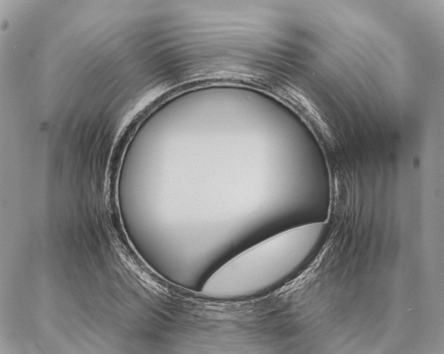 X0000087390780200704200927