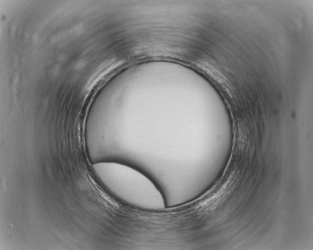 X0000087390782200704200927