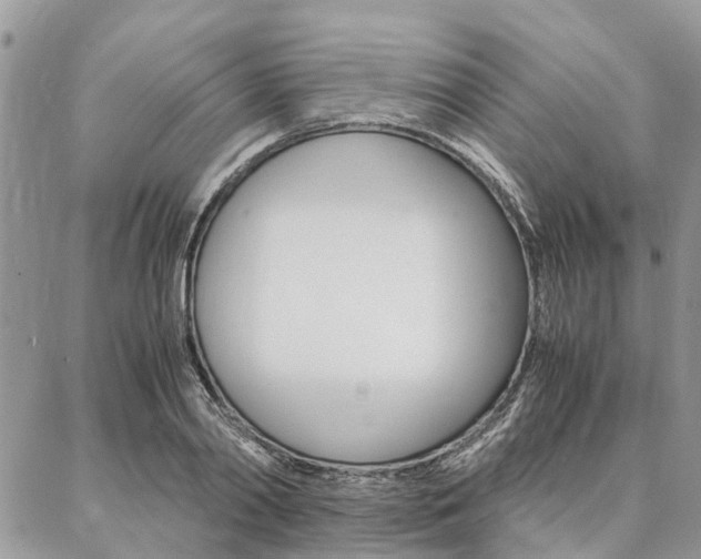 X0000087390790200704200926