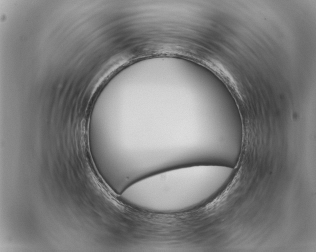 X0000087390798200704200926