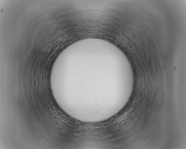 X0000087390818200704200925