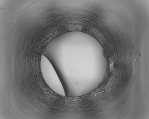 X0000087390819200704200925