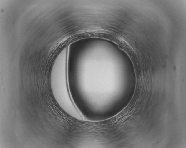 X0000087390822200704200925