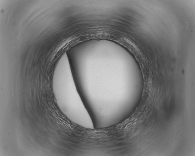 X0000087390823200704200925