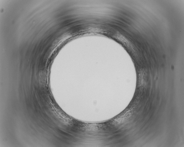 X0000087390828200704200925