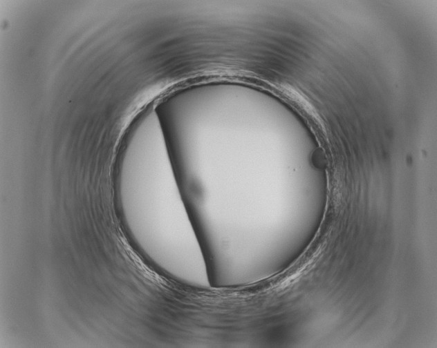 X0000087390831200704200926