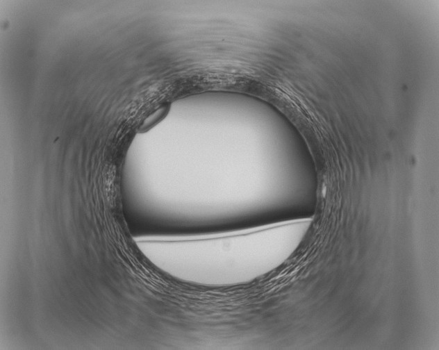 X0000087390867200704200925