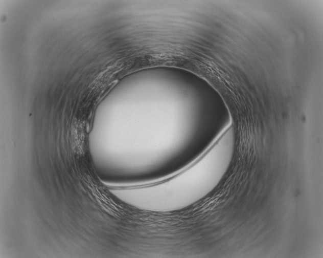 X0000087390868200704200925