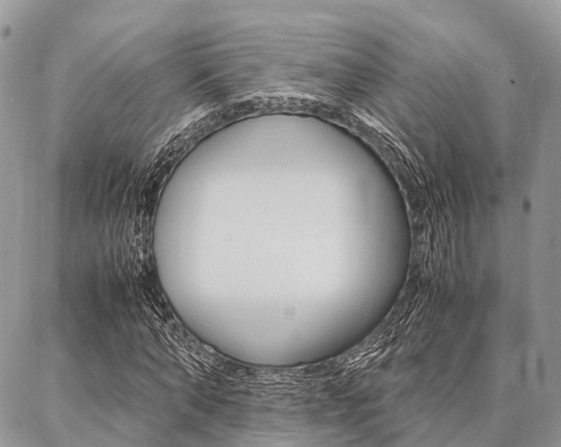 X0000087390870200704200925