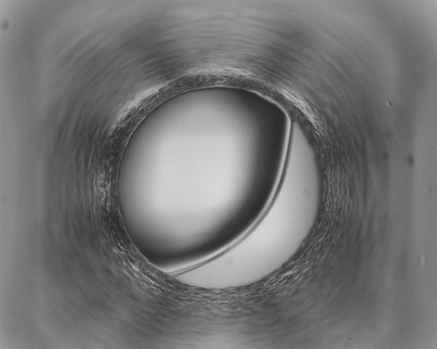 X0000087390872200704200925