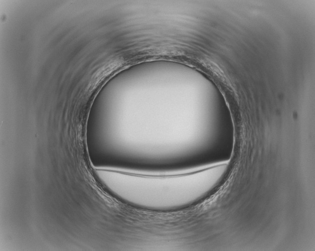 X0000087390881200704200925