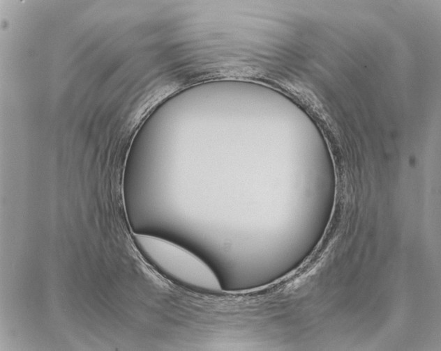 X0000087390889200704200925