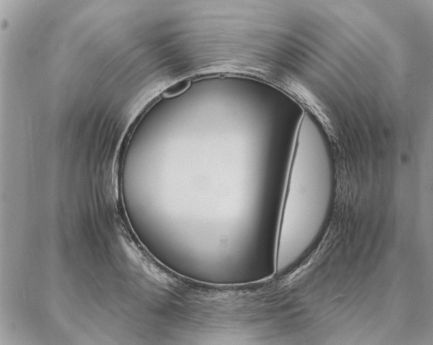 X0000087390892200704200925