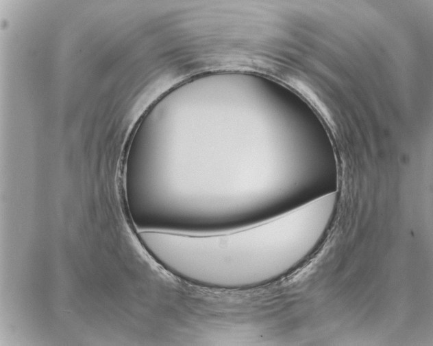 X0000087390901200704200925