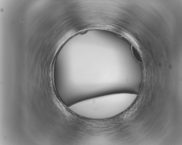 X0000087390907200704200925