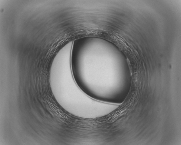 X0000087390916200704200924