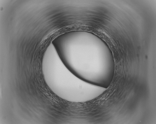 X0000087390919200704200924