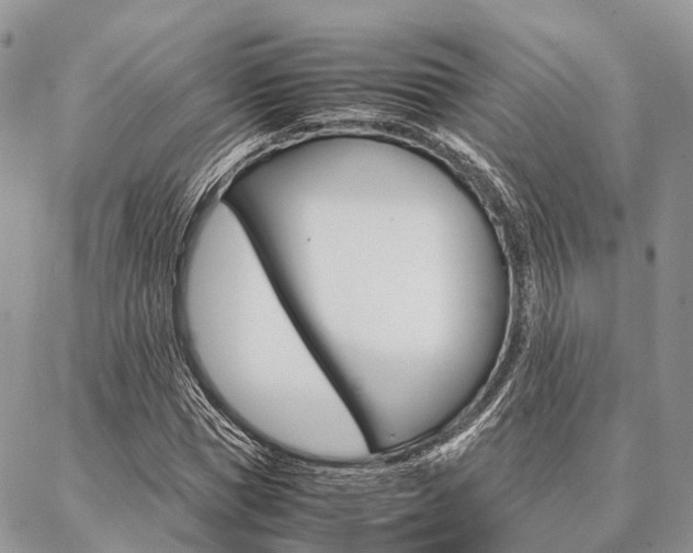 X0000087390921200704200924