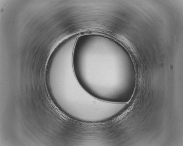 X0000087390924200704200924