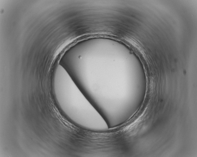 X0000087390925200704200924