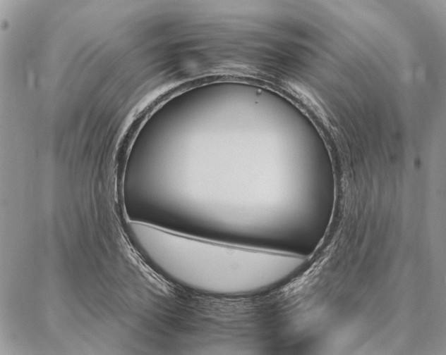 X0000087390931200704200924