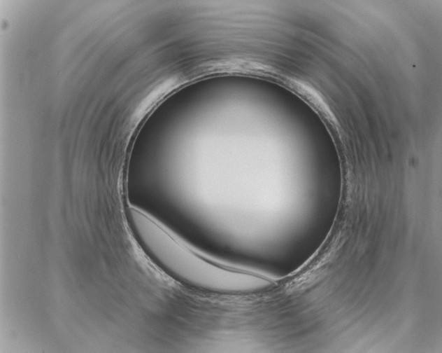 X0000087390946200704200924