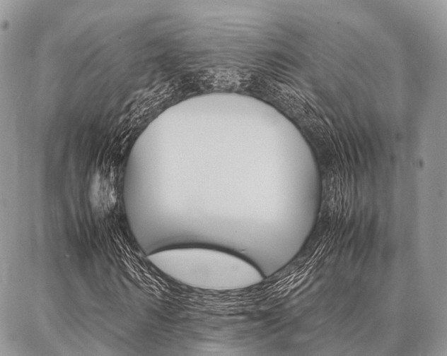X0000087390962200704200924