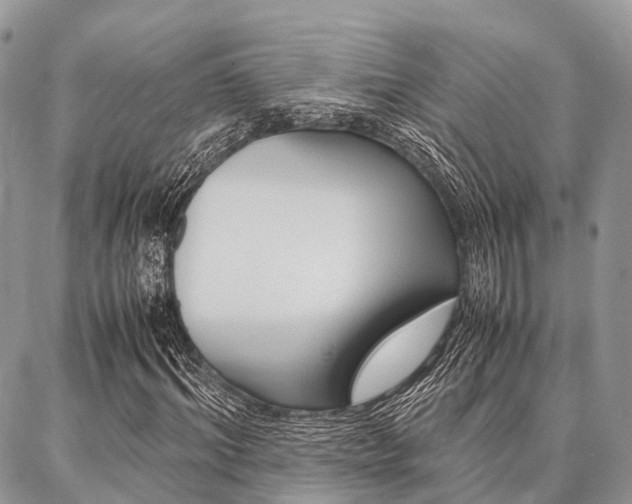 X0000087390964200704200924