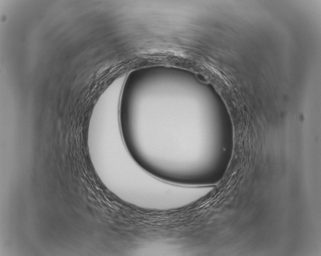 X0000087390965200704200924