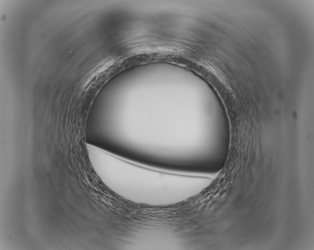 X0000087390967200704200924