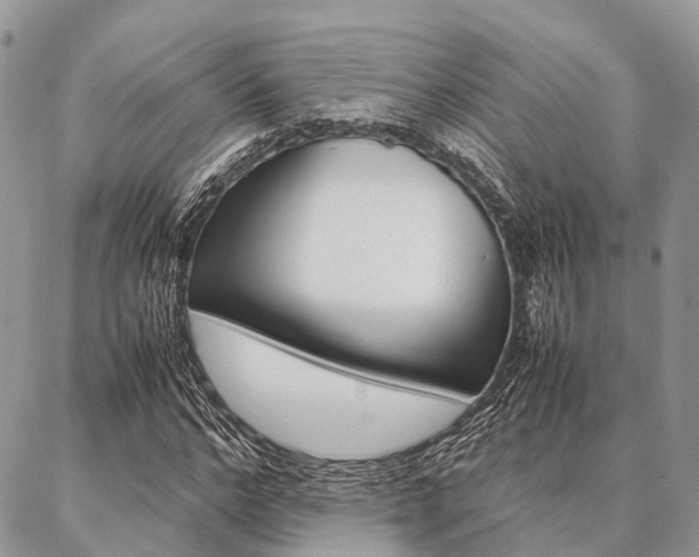 X0000087390968200704200924