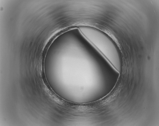X0000087390984200704200923