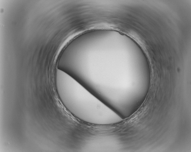 X0000087391008200704200923