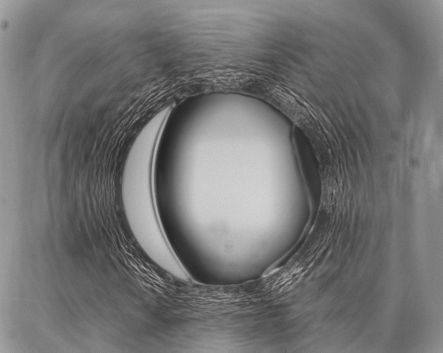 X0000087391010200704200922
