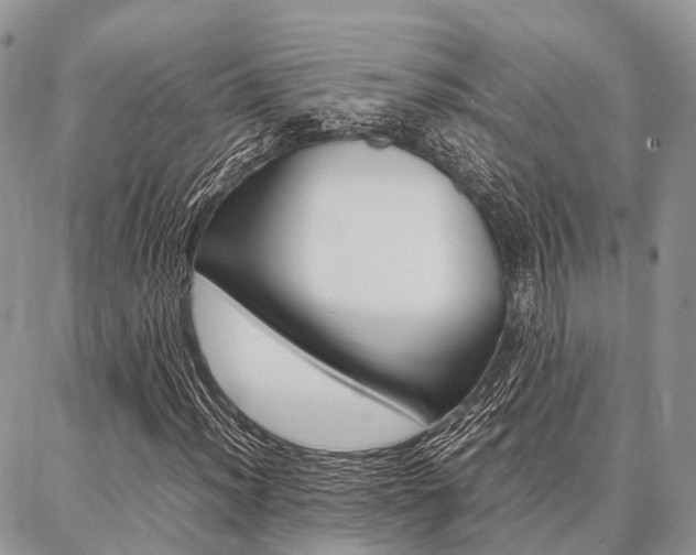 X0000087391012200704200922