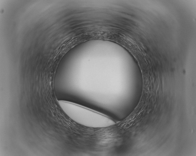X0000087391013200704200922