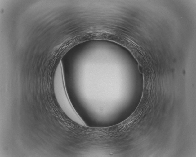 X0000087391014200704200922