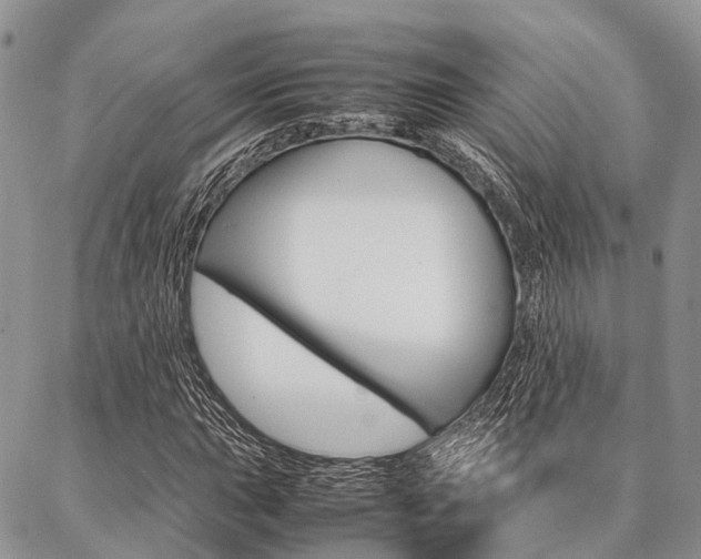 X0000087391015200704200922