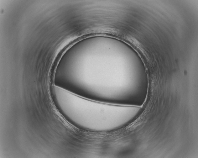 X0000087391024200704200922
