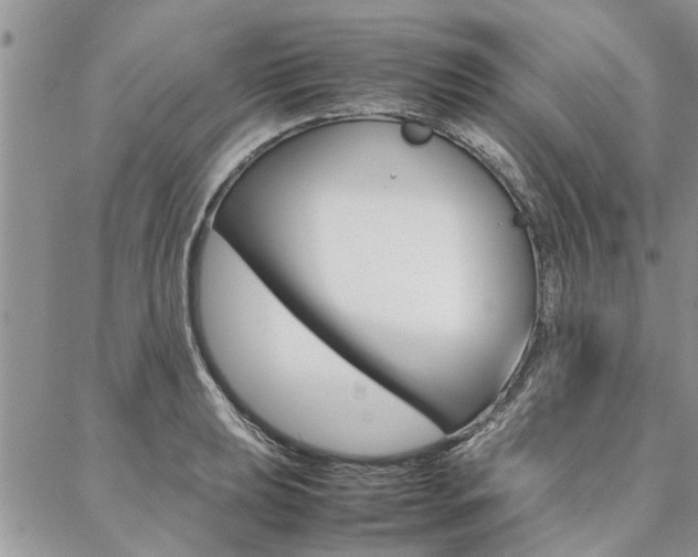 X0000087391039200704200923