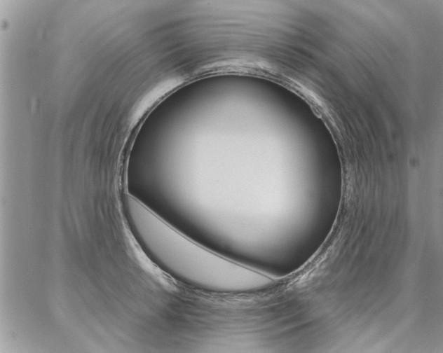 X0000087391042200704200923