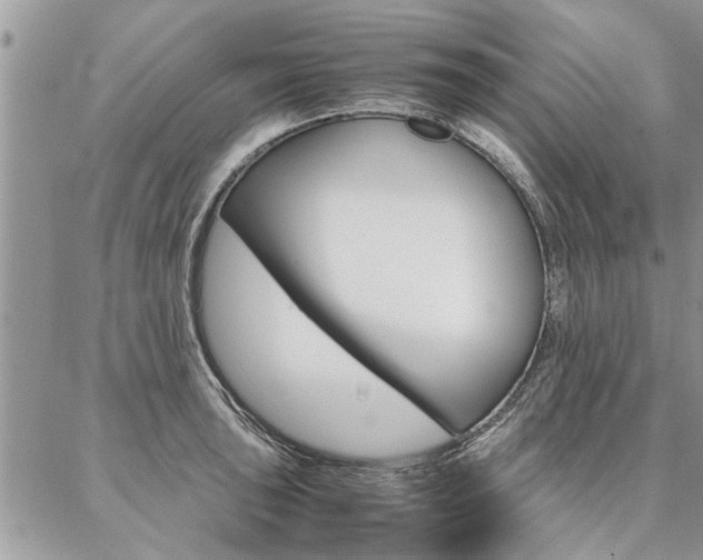 X0000087391043200704200923