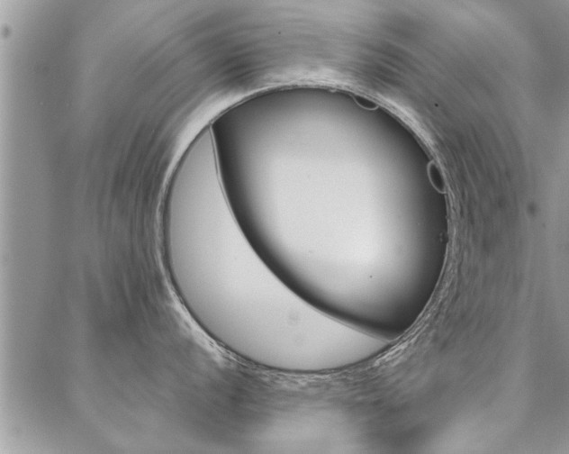 X0000087391056200704200923