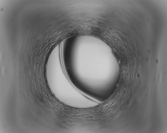 X0000087391057200704200922