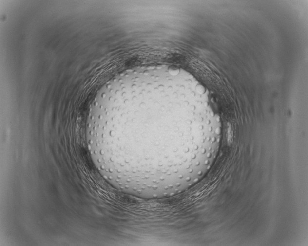 X0000087391059200704200922
