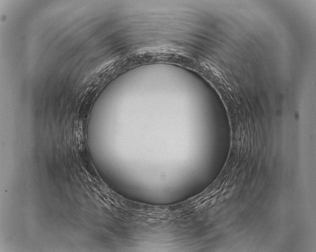 X0000087391062200704200922