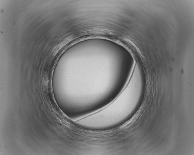 X0000087391065200704200922